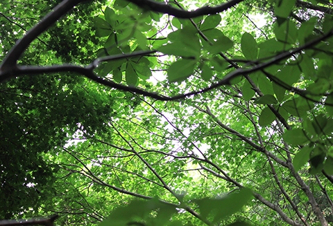 気密する家・調湿する家